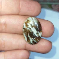 نگین انگشتر عقیق شجر مصور و پاییزی|جواهرات|بندر انزلی, امامزاده|دیوار