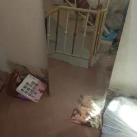 دو عدد اینه سالم در حد نو