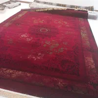 فرش ۷۰۰شانه|فرش|گنبد کاووس, |دیوار