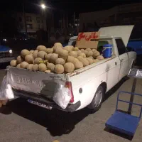 طالبی سنگی