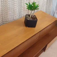 میز تلویزیون|میز تلویزیون|قم, پردیسان|دیوار