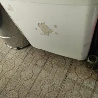 همه با هم 8میلیون تکی هم اگه کسی خواست میدم|دوچرخه، اسکیت، اسکوتر|یزد, |دیوار