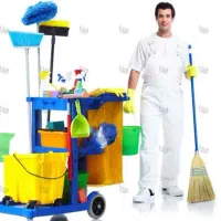 شرکت نظافتی شاهان