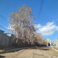 زمین-باغ-ویلایی-مسکونی-تهران-تهاتر-با-آپارتمان