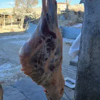 خرید و فروش دام زنده همراه با قصابی در محل مورد