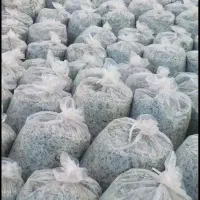 تفاله چفندر