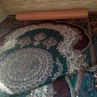 قالی ۱۲متری