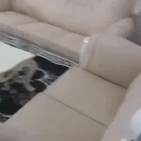 مبل