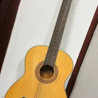 گیتار پائوچیا