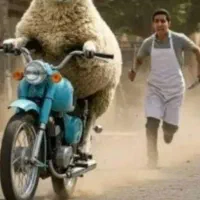 استخدام کارگر ساختمانی