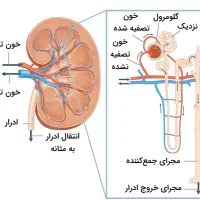 تدریس و رفع اشکال درس زیست
