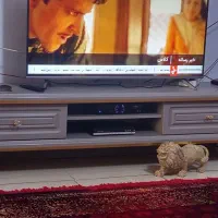 ال ای دی هوشمند۴۹ تی سی ال