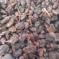 کشمش با کیفیت ممتاز