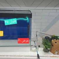 آکواریم شیشه خم