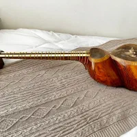 ساز تار بسیار خوش صدا و حرفه ای|سازهای سنتی|تهران, امام حسین|دیوار