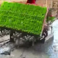 دستگاه نشا فروشی