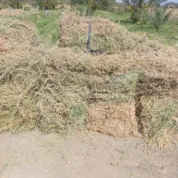 قالب یونچه دستی