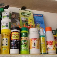سم مگس سوسک مورچه خوره ساس موش دامپزشکی پارس سم