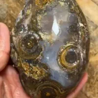 سلطانی مصور