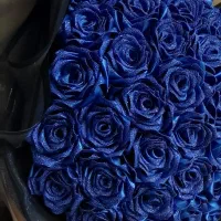 گل مصنوعی|گل مصنوعی|بندر ماهشهر, |دیوار