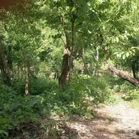 اجاره باغ ویلای کوهستانی در دل طبیعت دولت‌آباد|اجارهٔ کوتاه‌مدت ویلا و باغ|مشهد, شهرک رازی|دیوار