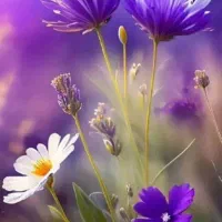 فروش خانه ویلایی