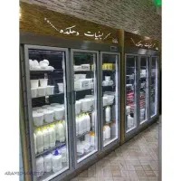 همکار اقا یا خانم لبنیاتی