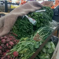 سبزی و میوه|خوردنی و آشامیدنی|کاشان, میدان کهنه|دیوار