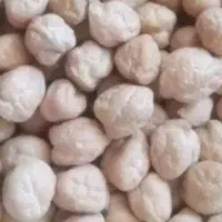 نخودبهارە