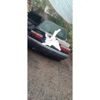 زانتیا 2000|خودرو سواری و وانت|لنگرود, |دیوار