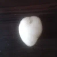 راف یشم سفید