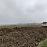 کودحیوانی|خدمات باغبانی و درختکاری|اسدآباد, |دیوار