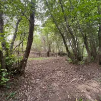 رهن خانه ویلایی ۱۰۰۰ متری مناسب برای کافه رستوران