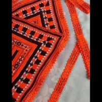 زیح استین