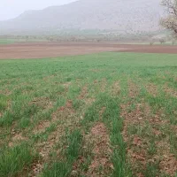 فروش زمین کشاورزی