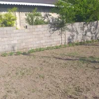 فروش-624متر-زمین-رشت-سنددار