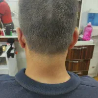 اصلاح رایگان|خدمات آرایشگری و زیبایی|شیراز, قالیشویی|دیوار