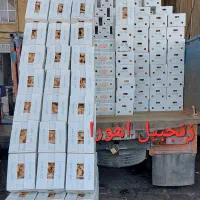 پخش زنجبیل تازه عمده و خرده