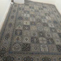 فرش|فرش|اهواز, کوی جانبازان(دانش)|دیوار