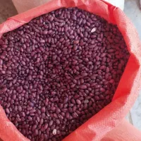 لوبیا قرمز دهگلان