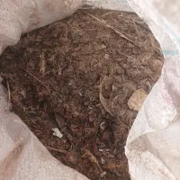 بار کفتر و مرغ