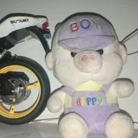 عروسک پولیشی|اسباب‌‌بازی|زنجان, |دیوار