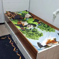 سرویس خواب کودک و نوجوان