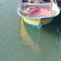 هشتاد وپنج 2016