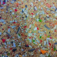 خشکبار|خوردنی و آشامیدنی|تاکستان, |دیوار