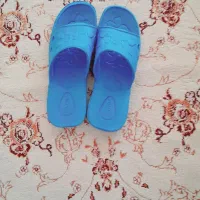 دمپایی نو|کیف، کفش، کمربند|لردگان, |دیوار