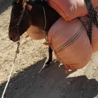 سلام سه ساله ۸۰ میلیون