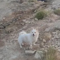 وسایل شخصی