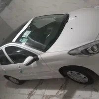 207 Tu5 پانا خشک