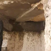 کلیه خدمات گچکاری  کاشی سرامیک کناف|خدمات پیشه و مهارت|کیش, |دیوار